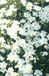 Click here to view product