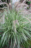 Click here to view product
