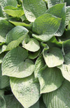 Click here to view product