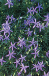 Click here to view product
